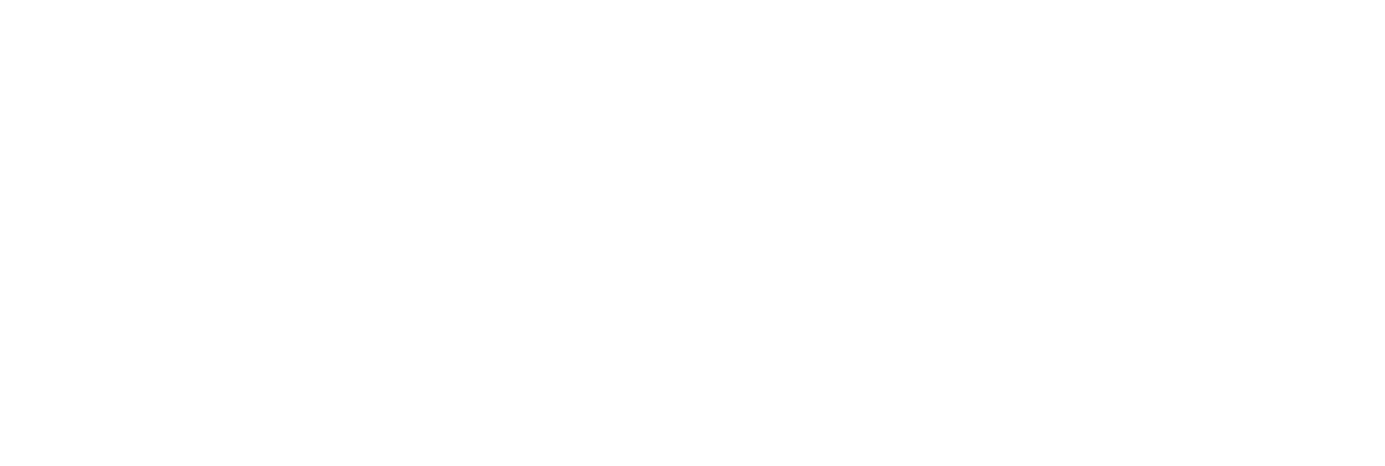 Flywire